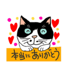 Nobimaru cat3（個別スタンプ：5）