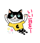 Nobimaru cat3（個別スタンプ：8）