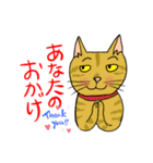 Nobimaru cat3（個別スタンプ：11）