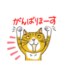 Nobimaru cat3（個別スタンプ：14）