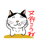 Nobimaru cat3（個別スタンプ：26）