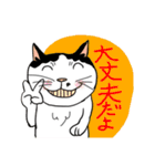 Nobimaru cat3（個別スタンプ：27）