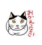 Nobimaru cat3（個別スタンプ：28）