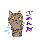 Nobimaru cat3（個別スタンプ：32）