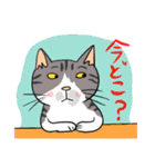 Nobimaru cat3（個別スタンプ：33）