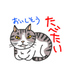 Nobimaru cat3（個別スタンプ：35）