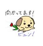 フラわん！（個別スタンプ：23）