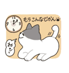 3匹のねこのすたんぷ（個別スタンプ：13）