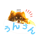 チョコちゃんスタンプ♡*(相槌・お返事編)（個別スタンプ：1）