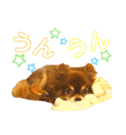 チョコちゃんスタンプ♡*(相槌・お返事編)（個別スタンプ：5）
