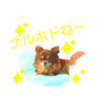 チョコちゃんスタンプ♡*(相槌・お返事編)（個別スタンプ：14）