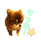 チョコちゃんスタンプ♡*(相槌・お返事編)（個別スタンプ：20）