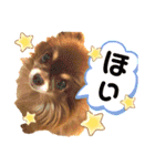 チョコちゃんスタンプ♡*(相槌・お返事編)（個別スタンプ：21）
