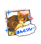 チョコちゃんスタンプ♡*(相槌・お返事編)（個別スタンプ：29）