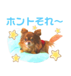 チョコちゃんスタンプ♡*(相槌・お返事編)（個別スタンプ：30）