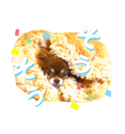 チョコちゃんスタンプ♡*(相槌・お返事編)（個別スタンプ：32）