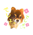チョコちゃんスタンプ♡*(相槌・お返事編)（個別スタンプ：34）