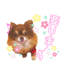チョコちゃんスタンプ♡*(相槌・お返事編)（個別スタンプ：39）