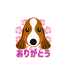 動く犬のスタンプ かわいいスパニエル（個別スタンプ：1）