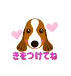 動く犬のスタンプ かわいいスパニエル（個別スタンプ：8）