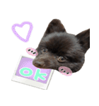 チョコポメとおともだち（個別スタンプ：7）