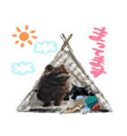 チョコポメとおともだち（個別スタンプ：24）