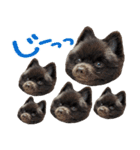 チョコポメとおともだち（個別スタンプ：26）