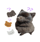 チョコポメとおともだち（個別スタンプ：32）