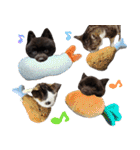 チョコポメとおともだち（個別スタンプ：33）