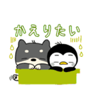 黒柴 and ペンギンのスタンプ。（個別スタンプ：30）