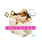 くれ2022ver.（個別スタンプ：15）