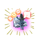DoNDoN[II]（個別スタンプ：10）