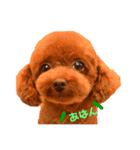 オデだよ！（個別スタンプ：2）