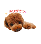 オデだよ！（個別スタンプ：6）