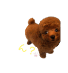 オデだよ！（個別スタンプ：12）