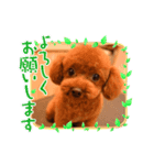 オデだよ！（個別スタンプ：13）