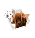 オデだよ！（個別スタンプ：14）