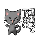 猫ねこにゃんこ その1N（黒）日常会話（個別スタンプ：21）