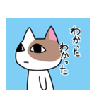 虚無な目をした猫（個別スタンプ：4）