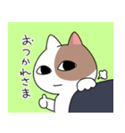 虚無な目をした猫（個別スタンプ：17）