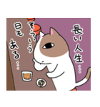 虚無な目をした猫（個別スタンプ：23）