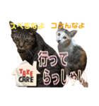 Johnny ＆ Chocola ＆ かりん ❾（個別スタンプ：5）