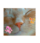 Johnny ＆ Chocola ＆ かりん ❾（個別スタンプ：8）