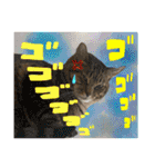 Johnny ＆ Chocola ＆ かりん ❾（個別スタンプ：11）