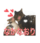 Johnny ＆ Chocola ＆ かりん ❾（個別スタンプ：13）