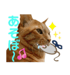 Johnny ＆ Chocola ＆ かりん ❾（個別スタンプ：21）