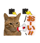 Johnny ＆ Chocola ＆ かりん ❾（個別スタンプ：25）