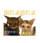 Johnny ＆ Chocola ＆ かりん ❾（個別スタンプ：30）