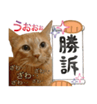 Johnny ＆ Chocola ＆ かりん ❾（個別スタンプ：31）