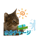 Johnny ＆ Chocola ＆ かりん ❾（個別スタンプ：34）